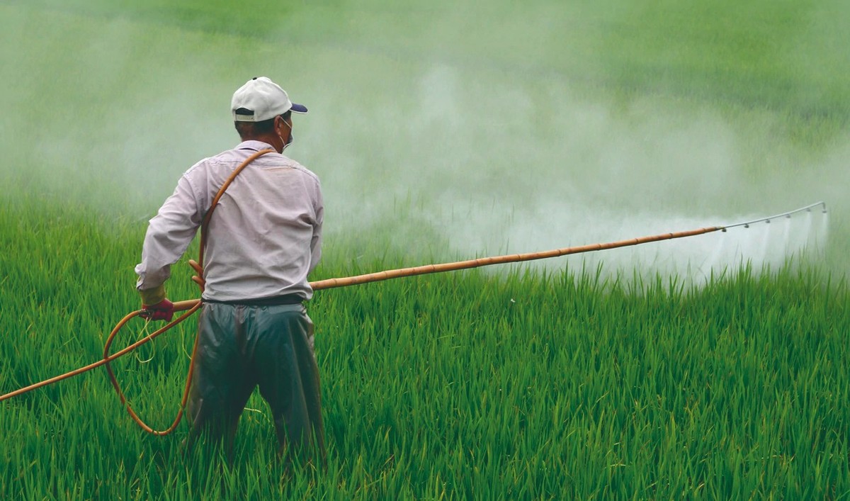 En México, el glifosato es uno de los principales herbicidas utilizados | Semarnat