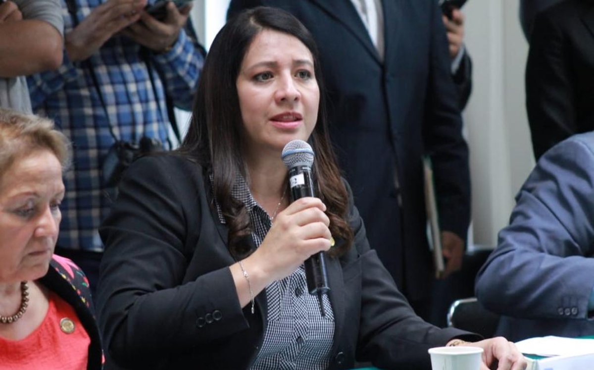 Claudia Reyes Montiel, pidió informar sobre las vacunas falsas que se anuncian en redes. (Diputados del PRD)