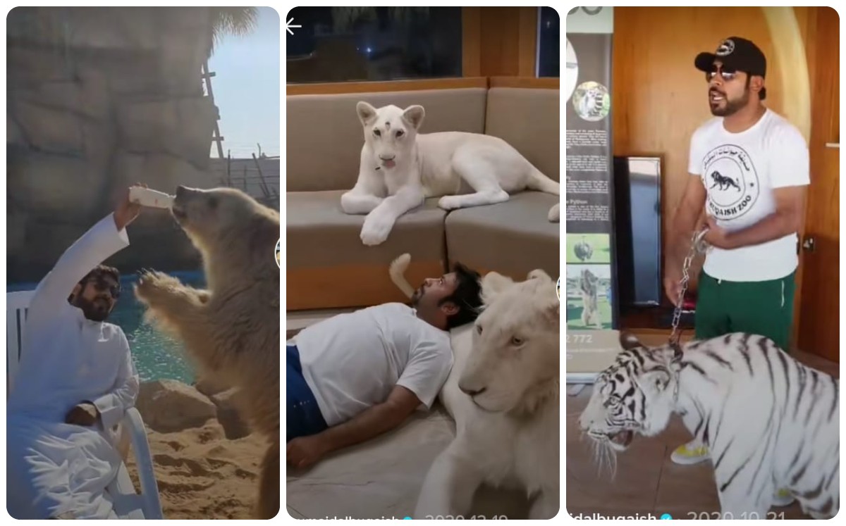 Millonario causa polémica por sus mascotas salvajes (Captura)