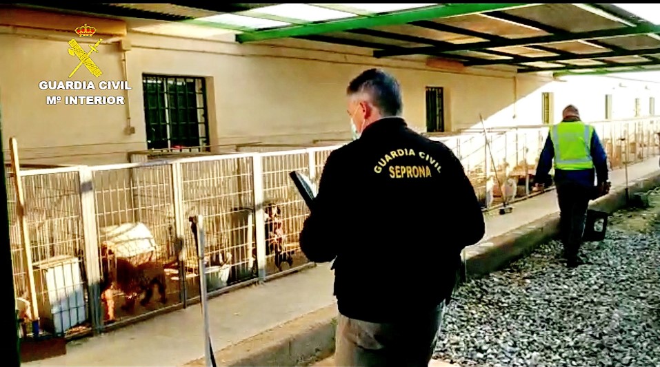 Personal de la Guardia Civil realizó la inspección en un criadero de Santa Fe, en Granada. (Guardia Civil)
