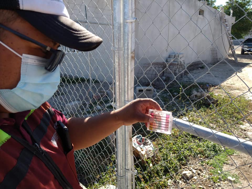 Se registran casos sospechosos de dengue en Tehuacán. (Especial)