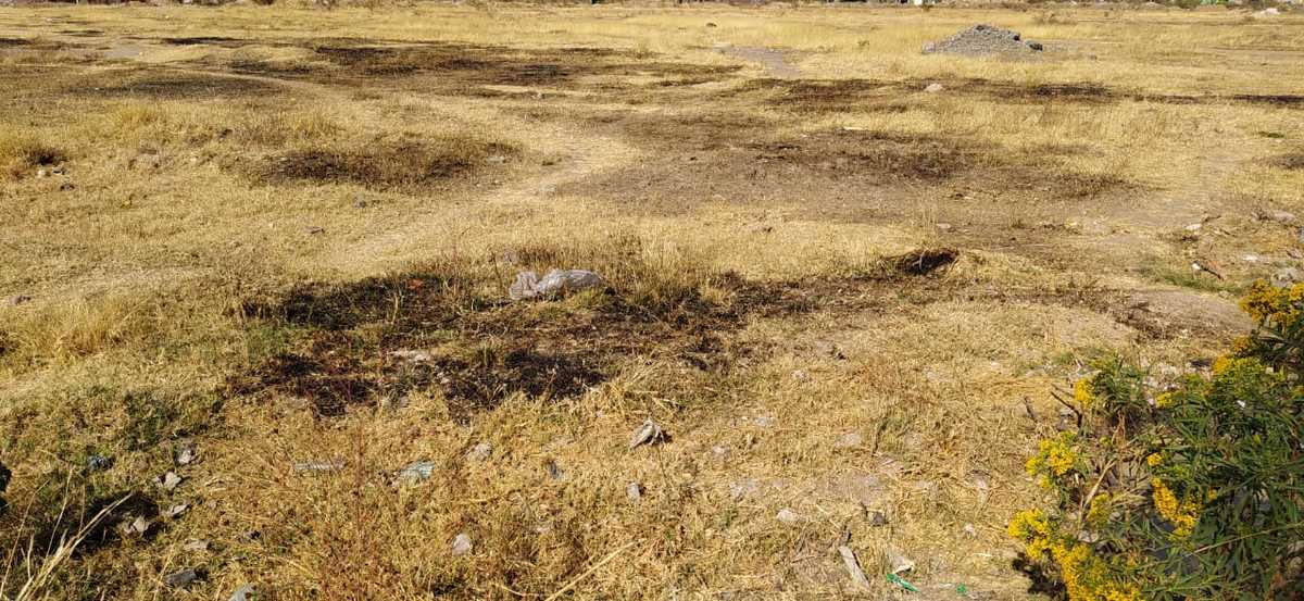 En Silao, denuncian quema de basura y pastizal en terreno baldío. Foto: Axel Rivas