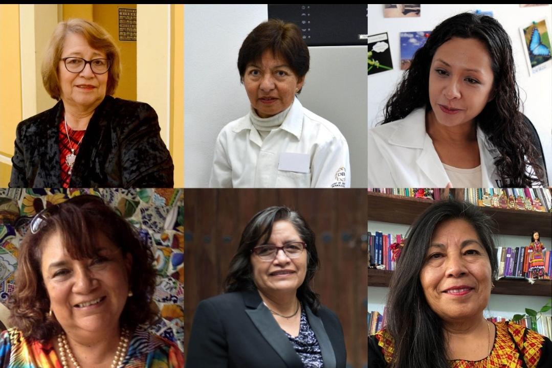 Día Internacional de la Mujer y la Niña en la Ciencia. (Especial)