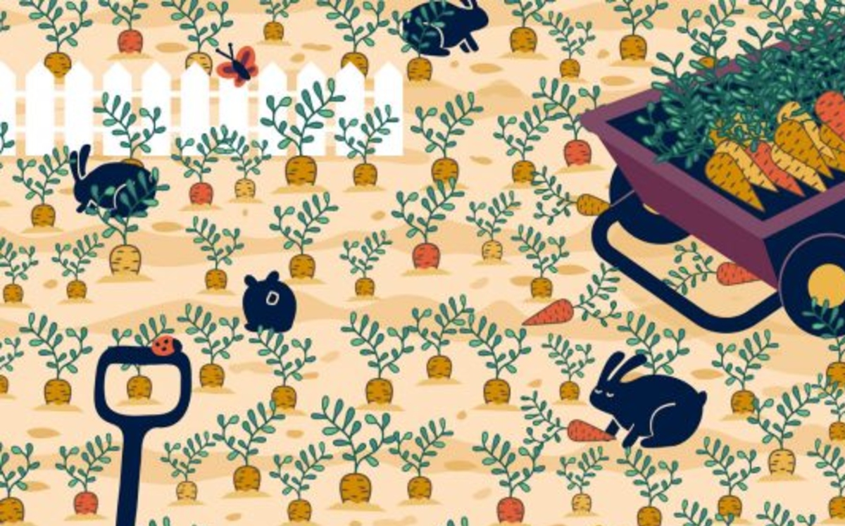 Reto visual: encuentra el anillo en el jardín (William May)