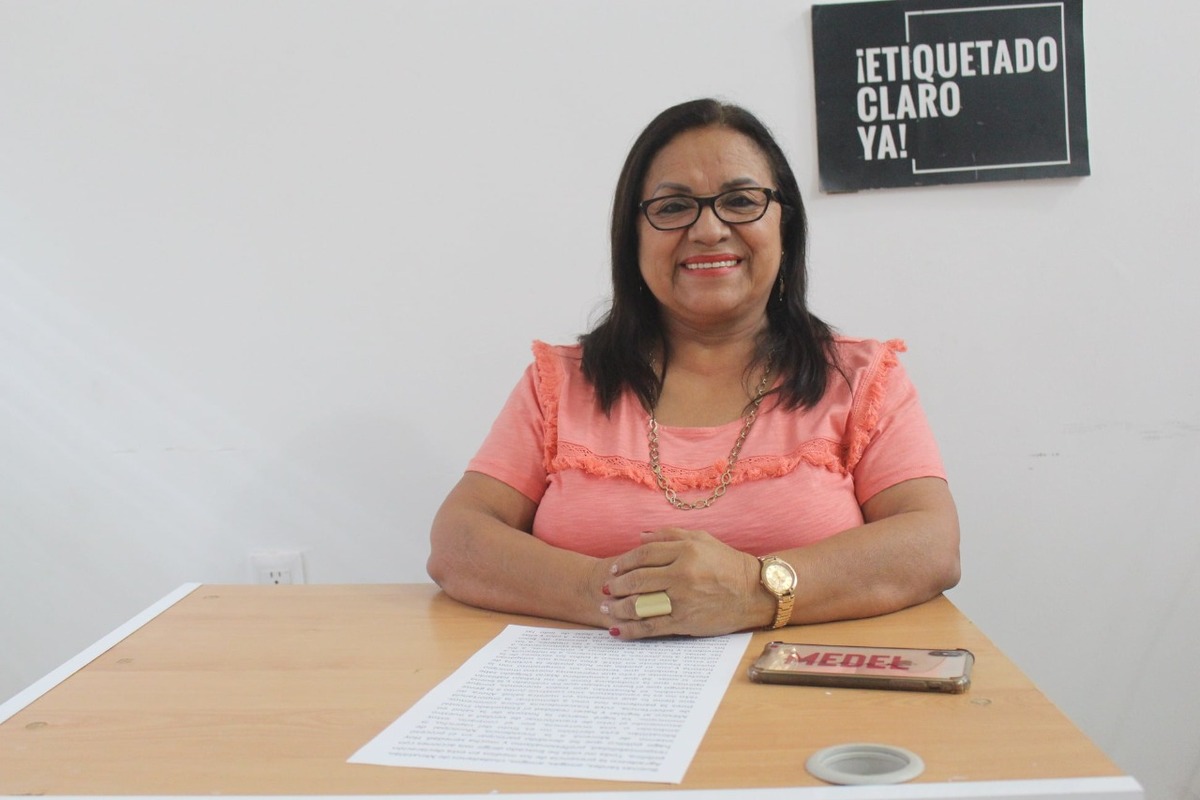 La diputada Carmen Medel buscará ser candidata de Morena para tres cargos diferentes.