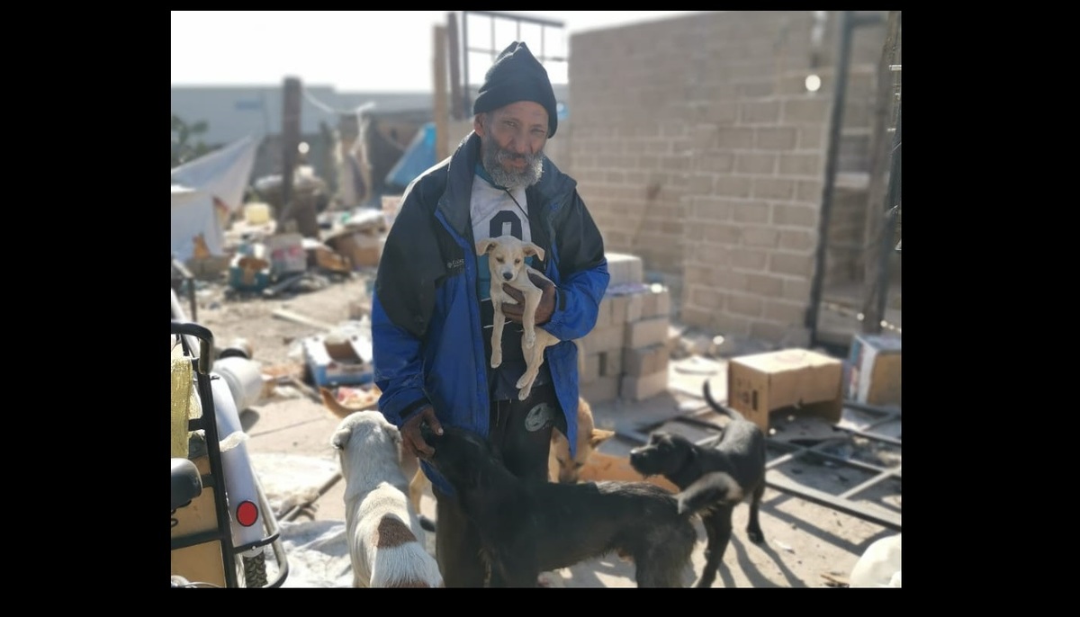 Don Luis es ahora es el líder de una manada de 20 perros. (Diana Barajas)