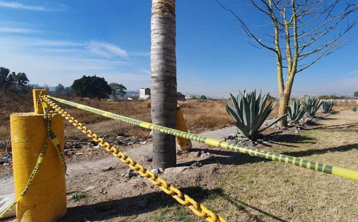 Localizan cuerpos de sobrina y cuñada de El 'Güero' Palma en fosa clandestina de Sonora