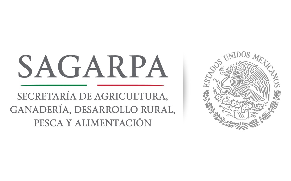 Dichas irregularidades constituyen un uso indebido de funciones, de acuerdo con la ley. | Gobierno de México