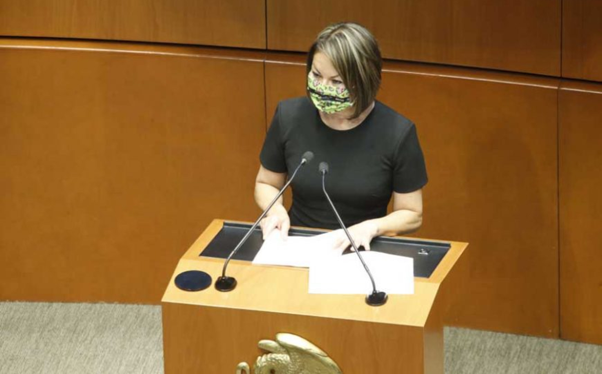 Minerva Hernández durante una sesión ordinaria de la cámara alta el año pasado. (PAN en el Senado)