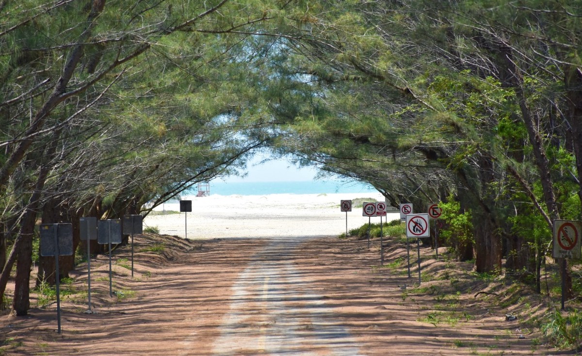 Playa Tesoro en Altamira. (Cortesía)