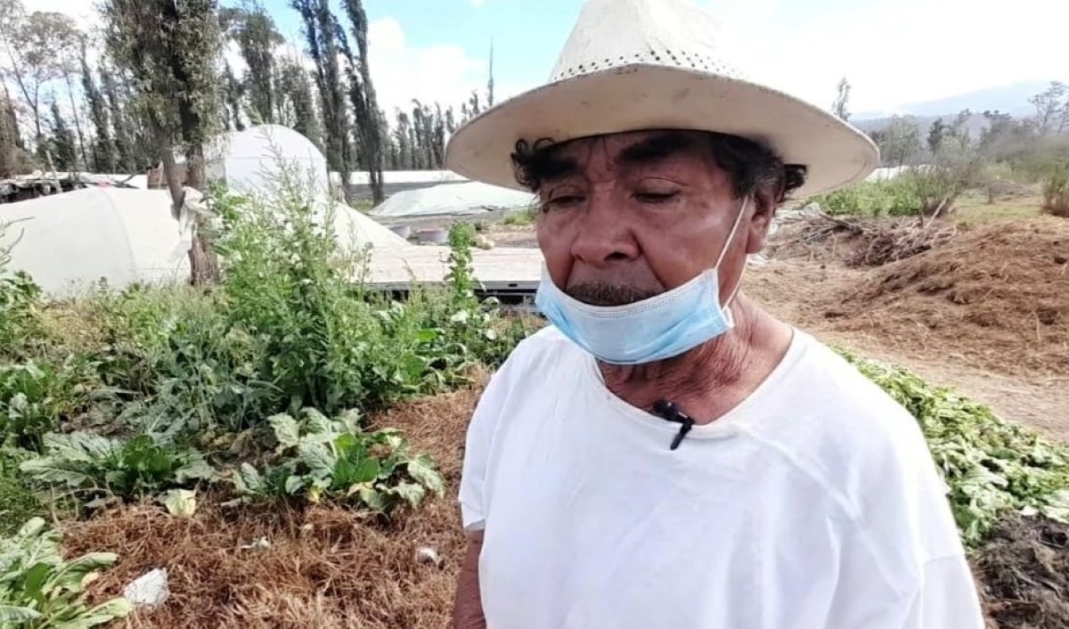 Los agricultores indicaron que sus ventas bajaron hasta 50 por ciento por la pandemia. | Anwar Nájera