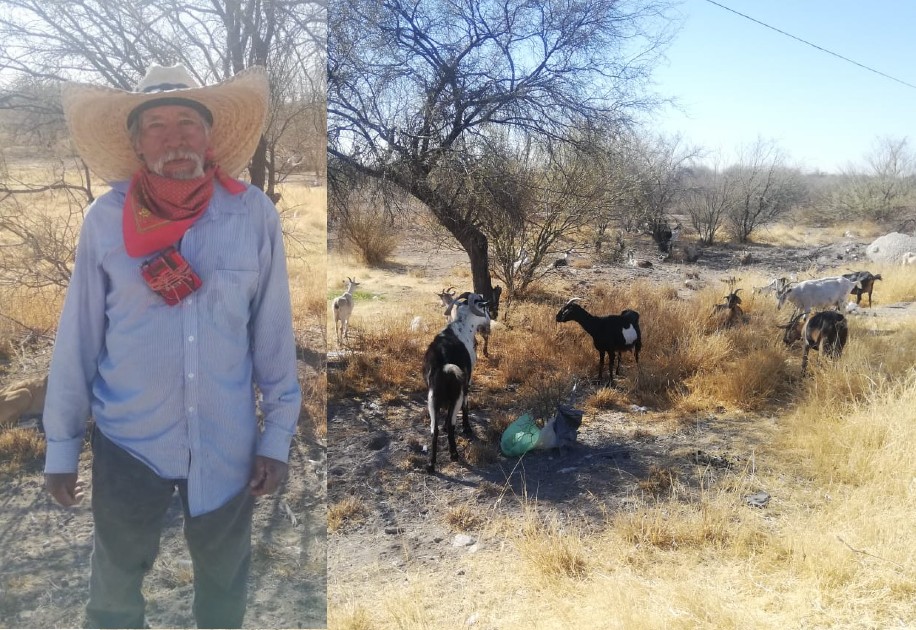 Más de 10 horas diarias le dedica Don Cirilo a sus chivas. (Especial)