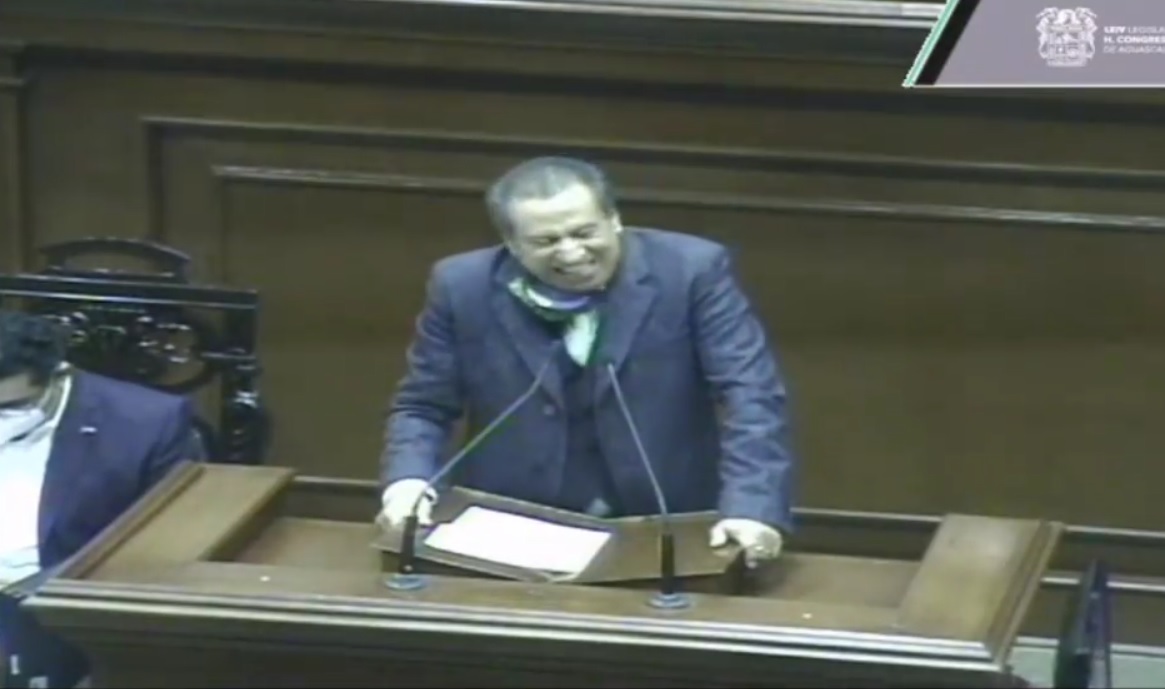 El diputado del PVEM en Aguascalientes, Sergio Augusto López. (Captura de pantalla)