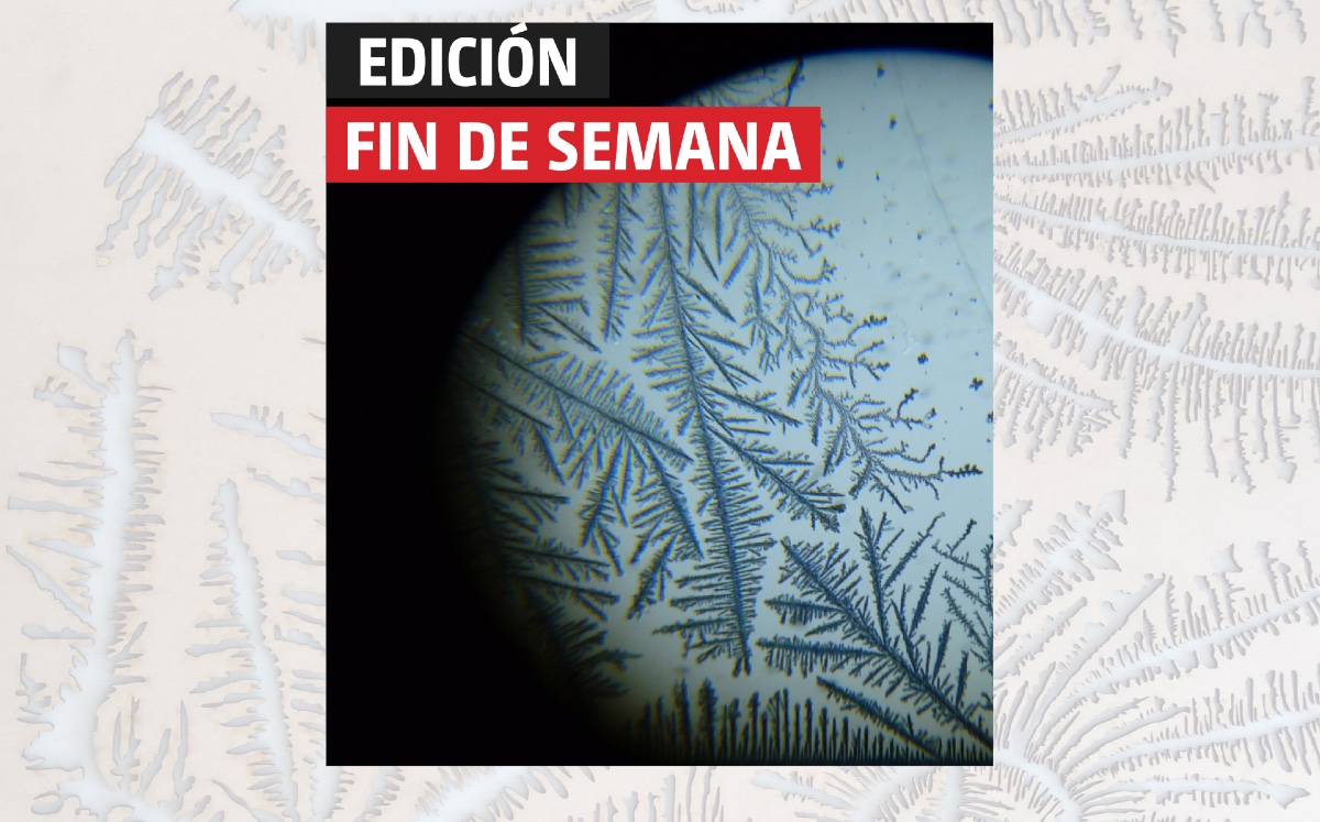 BiologyStudio es el primer taller mexicano que vincula arte, diseño y biología. (Cortesía)