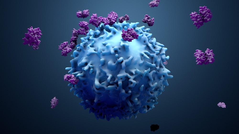 Las células T son las encargadas de atacar a los virus | Shutterstock