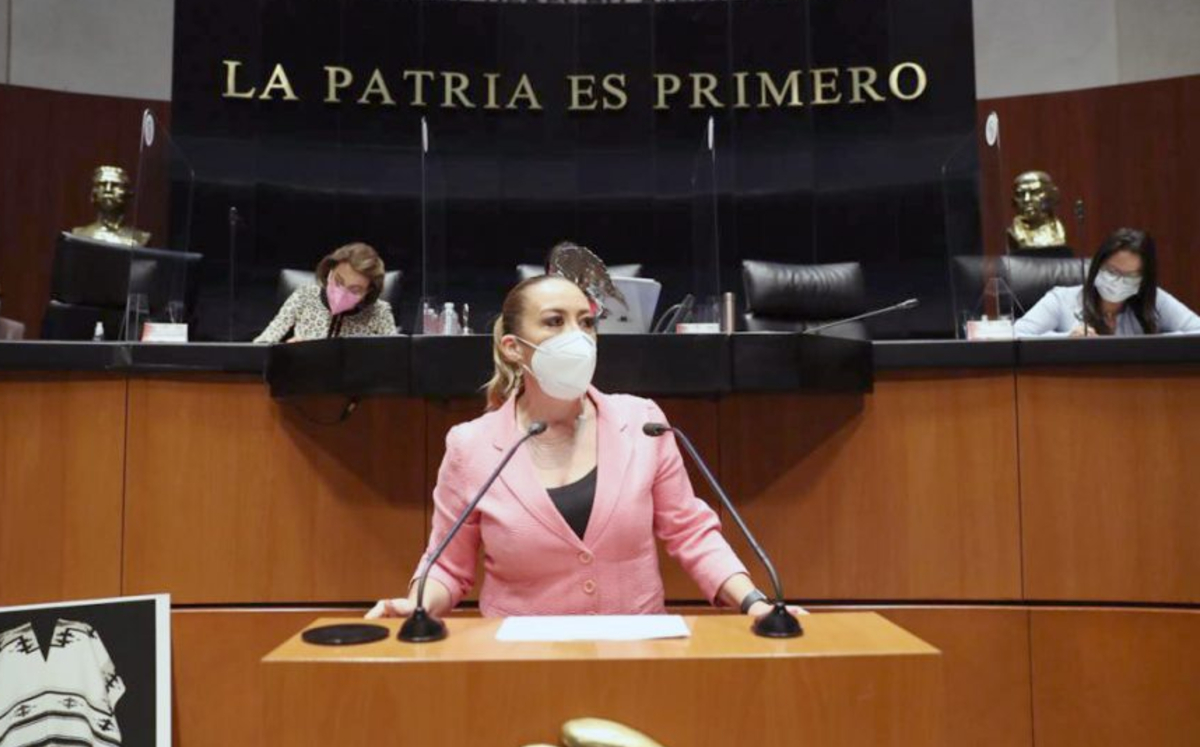 La legisladora  Alejandra Reynoso durante una sesión ordinaria del año pasado. (PAN en el Senado)