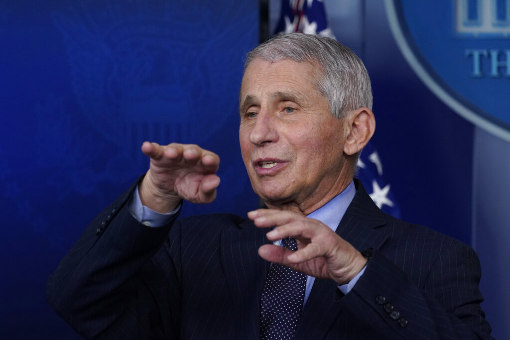 Anthony Fauci, el principal asesor médico del presidente de EU sobre el covid-19, Joe Biden. (AP)