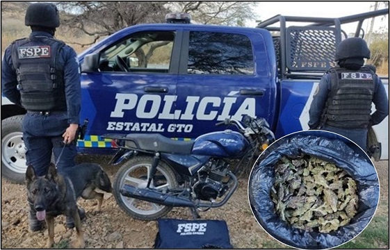 Aseguran 25 dosis de marihuana con ayuda de canino en León