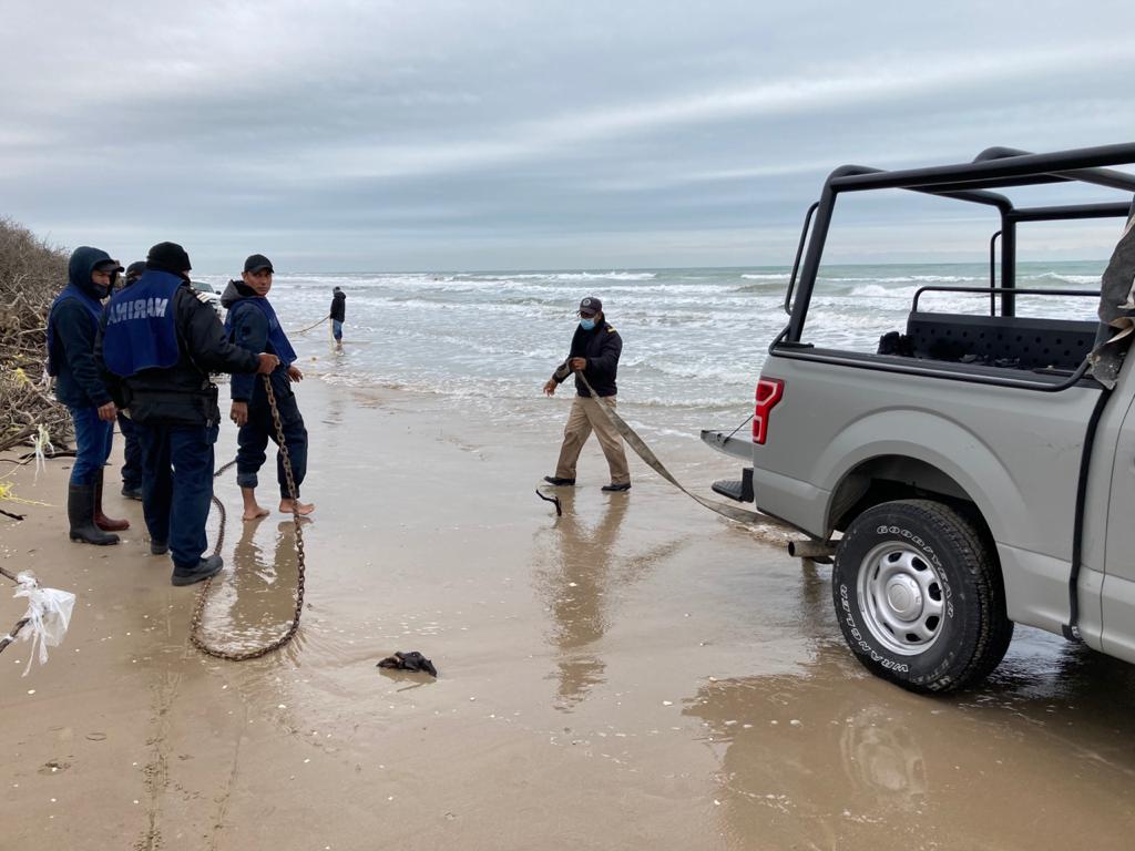 Auxilia la Marina a rescatistas de la tortuga Lora