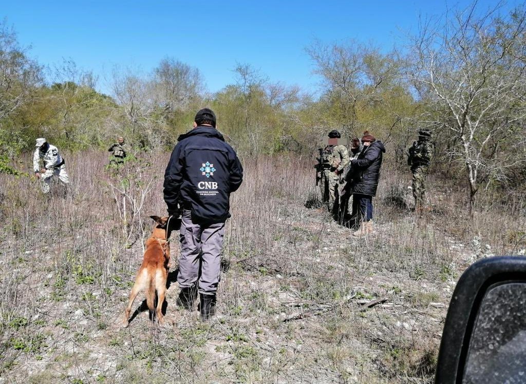 Buscan personas desaparecidas en operativos de Tamaulipas. (Cortesía)
