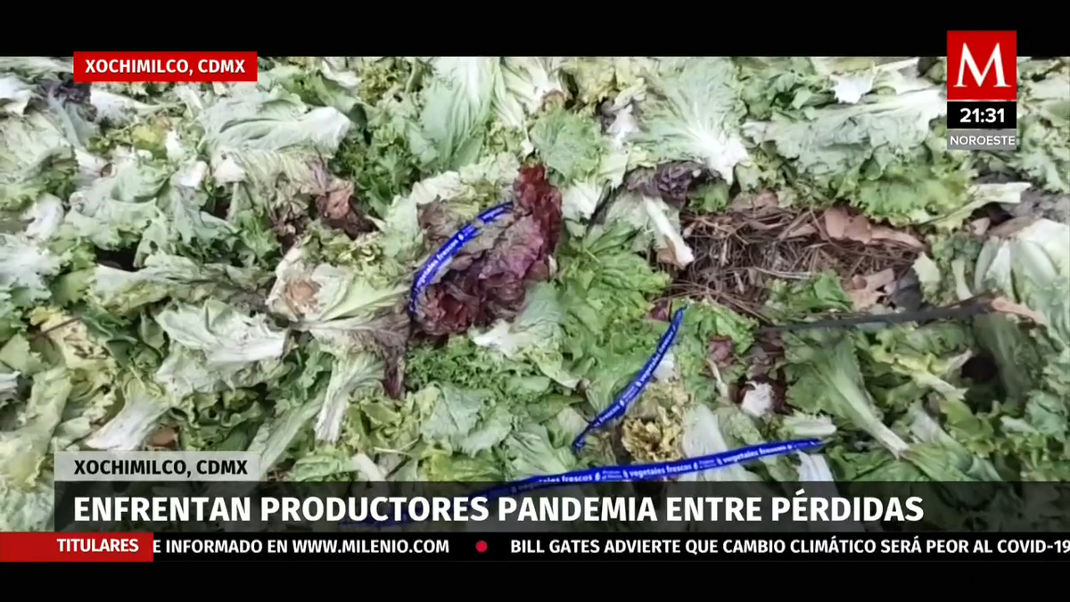 "Casi todo se echa a perder"; en CdMx, covid 'recorta' ventas de campesinos de Xochimilco