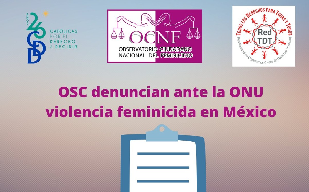 De enero de 2018 a diciembre de 2020, 11 mil 217 mujeres y niñas en México fueron asesinadas, de acuerdo con el SESNSP. (@OCNF)