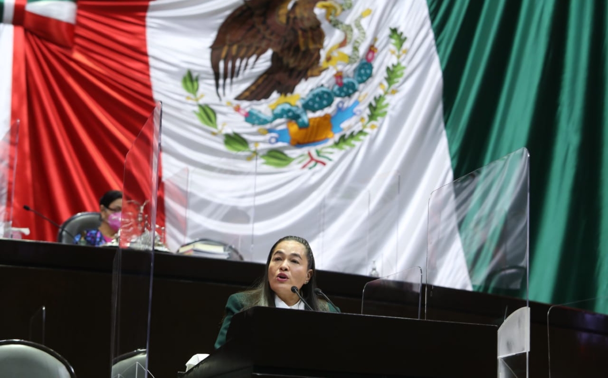 La diputada del PRD, Verónica Juárez, realizando un posicionamiento durante la sesión de hoy. (DiputadosPRD64)