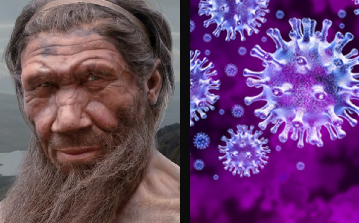 Estudio alemán: Genes neandertales reducen el riesgo de covid grave. (Especial)