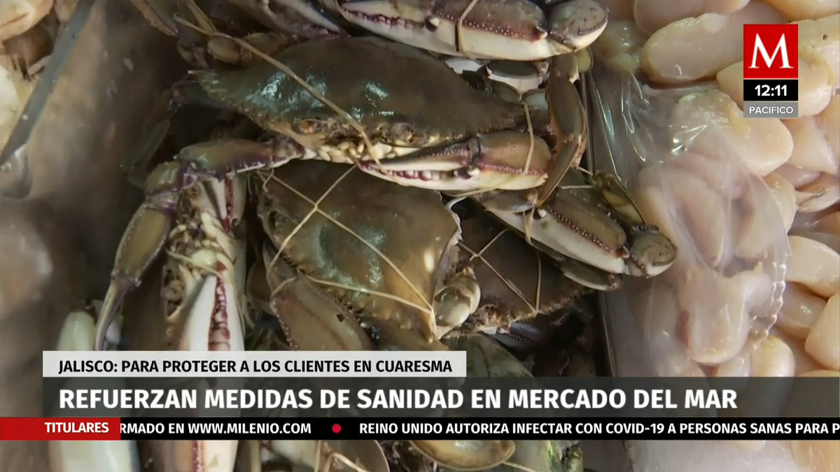 Jalisco. El Mercado del Mar en Zapopan ya está listo para cuaresma