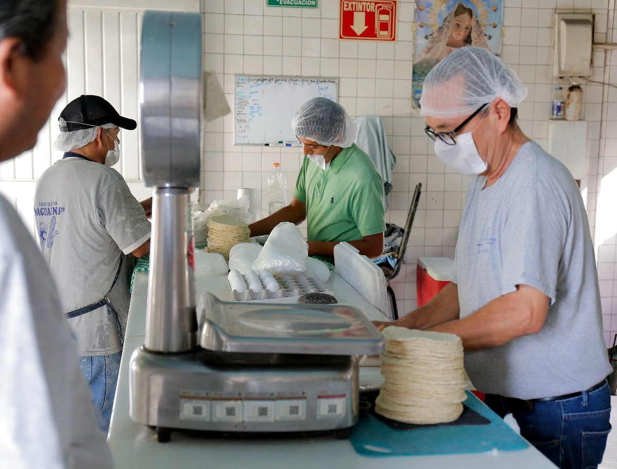 La producción de tortilla de maíz se encuentra en riesgo, luego que ante el cierre la caída en el suministro de gas natural. (Mauricio Román)