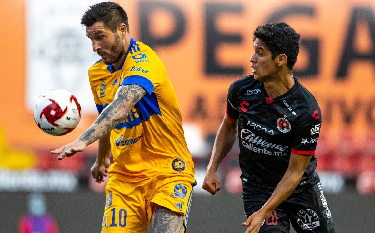 Tigres vs Xolos: horario y donde ver envivo partido Liga MX- Grupo Milenio