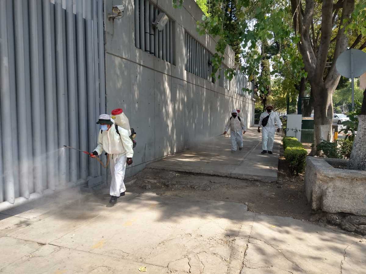 La sanitización se llevó a cabo en las instalaciones de la Seido, ubicadas en Paseo de la Reforma. (César Velázquez)