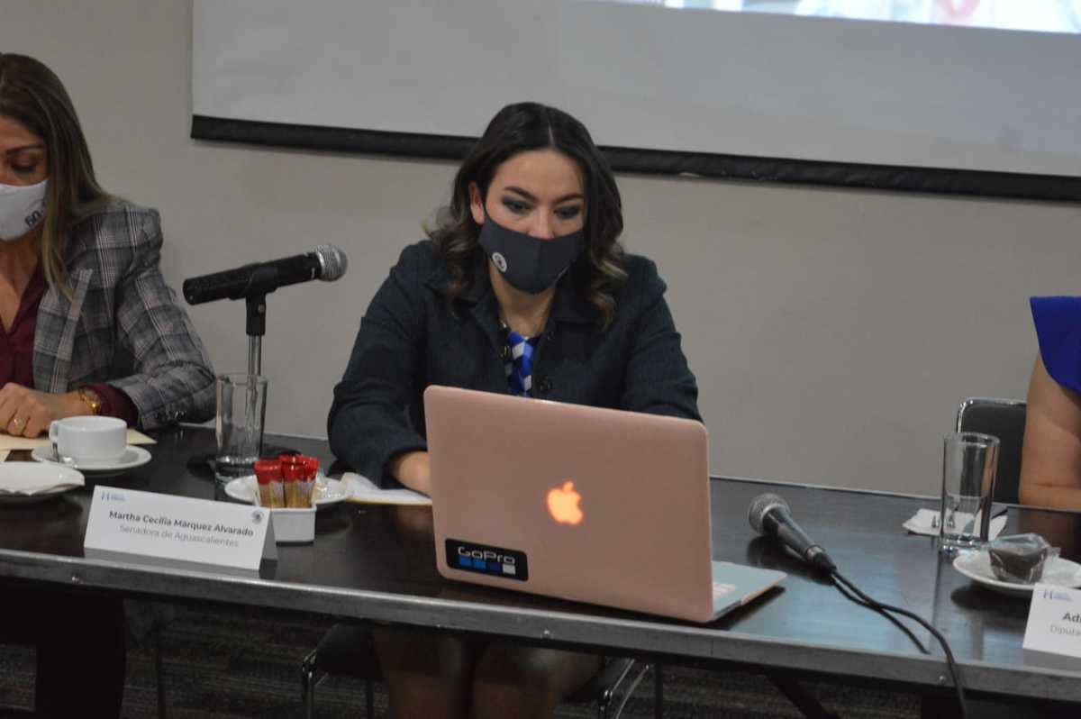 La senadora Martha Márquez presentó su denuncia ante la FGR. (Liberto Ureña)