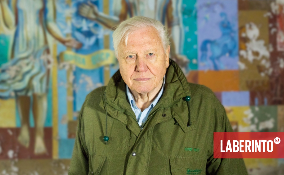 David Attenborough en Chernóbil, Ucrania, durante la filmación de 'Una vida en nuestro planeta'. (Netflix)