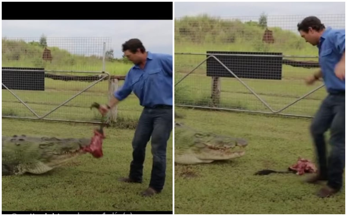 Hombre juega con la comida de un cocodrilo (Captura)