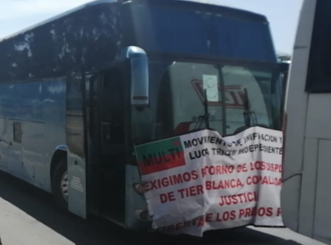 Entre su plan de acciones también destaca instalar un plantón en Palacio Nacional | César Velázquez