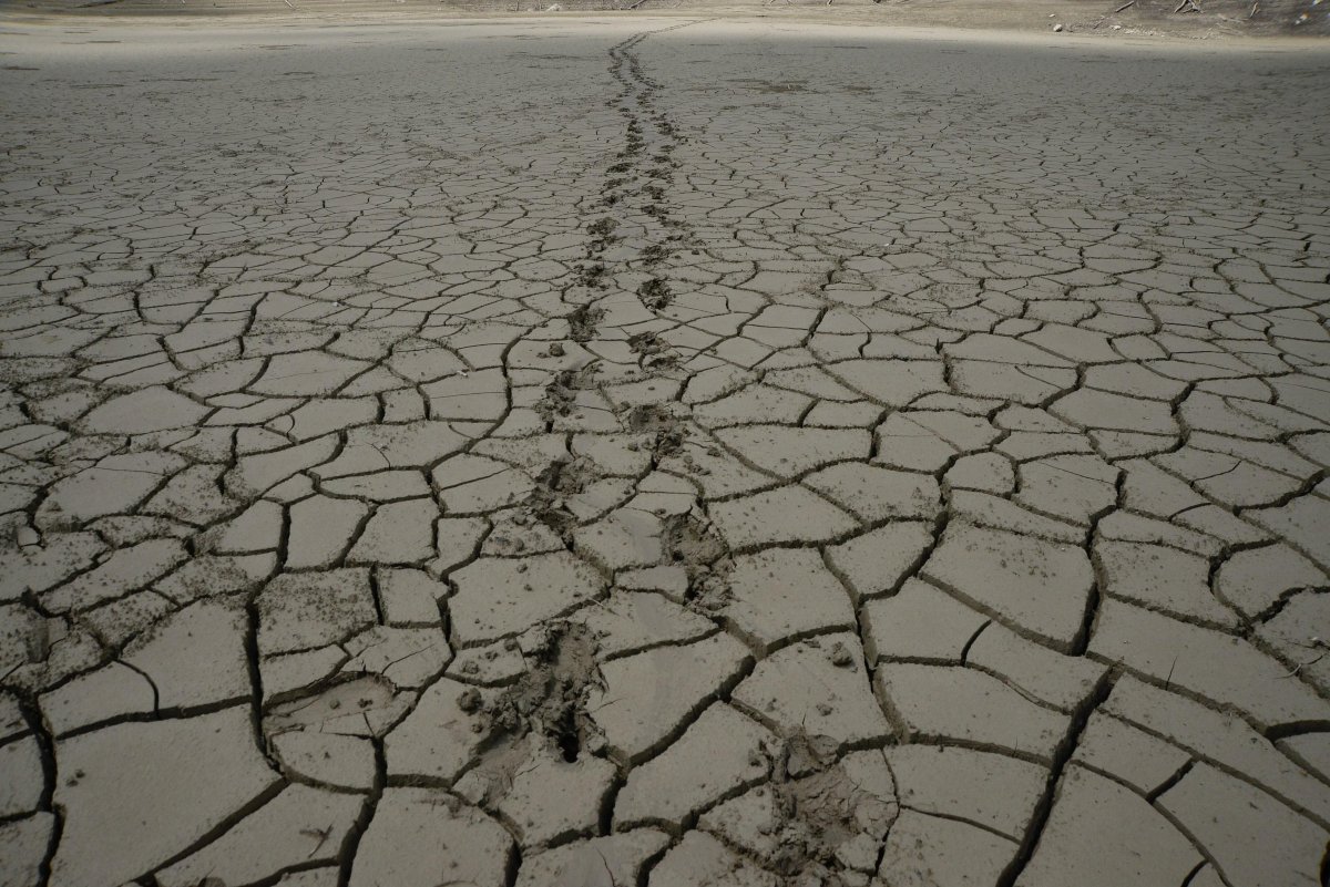 El cambio climático es el más grande desafío de la humanidad. (EFE)