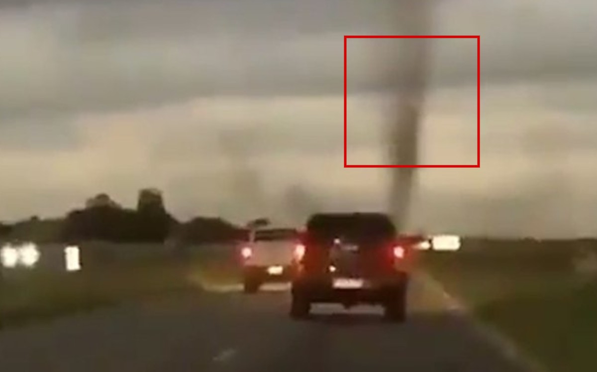 Impresionante invasión de mosquitos en Argentina. (Captura)