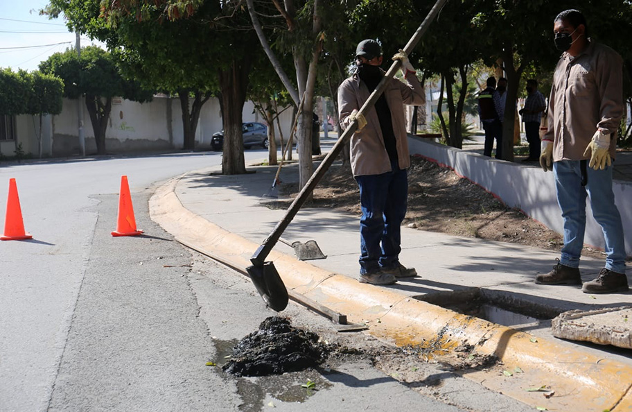 Las brigadas se llevarán a cabo cada viernes. (Rolando Riestra)