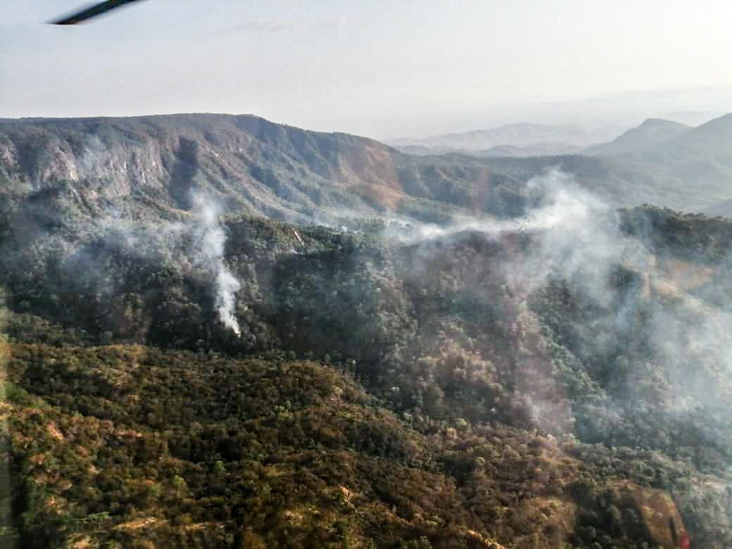 El incendio en Oaxaca ha consumido mil 500 hectáreas, según el director de la Coesfo.(Especial)