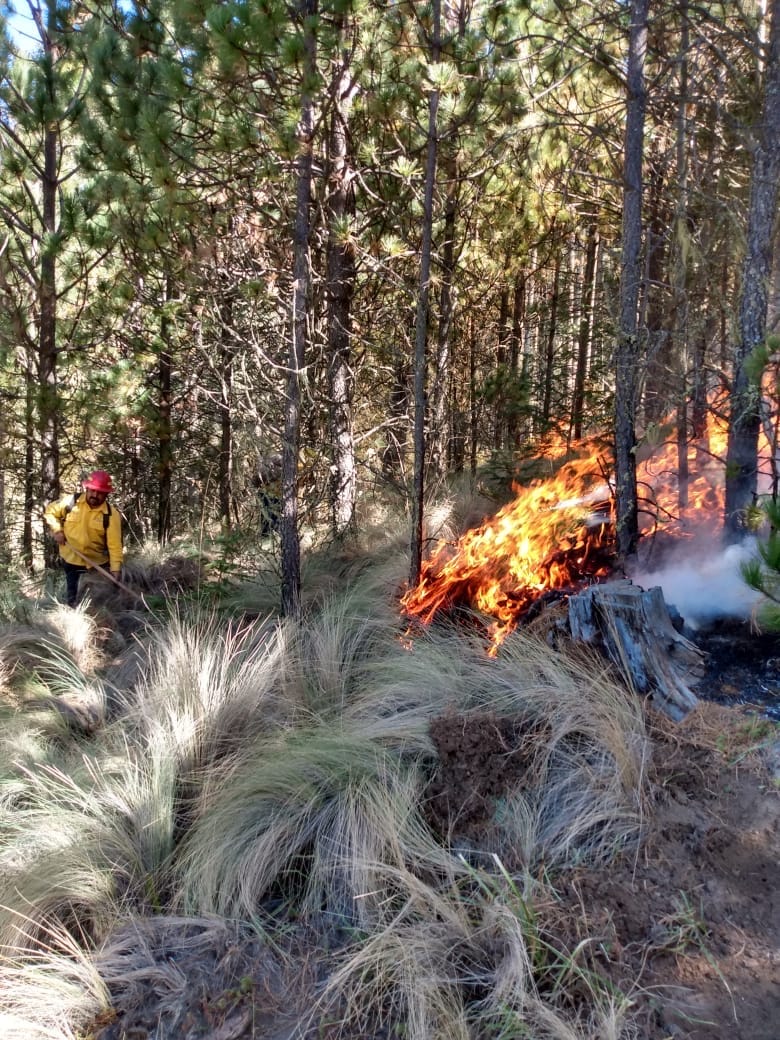 Puebla, con 56 incendios forestales en lo que va de 2021. (Especial)