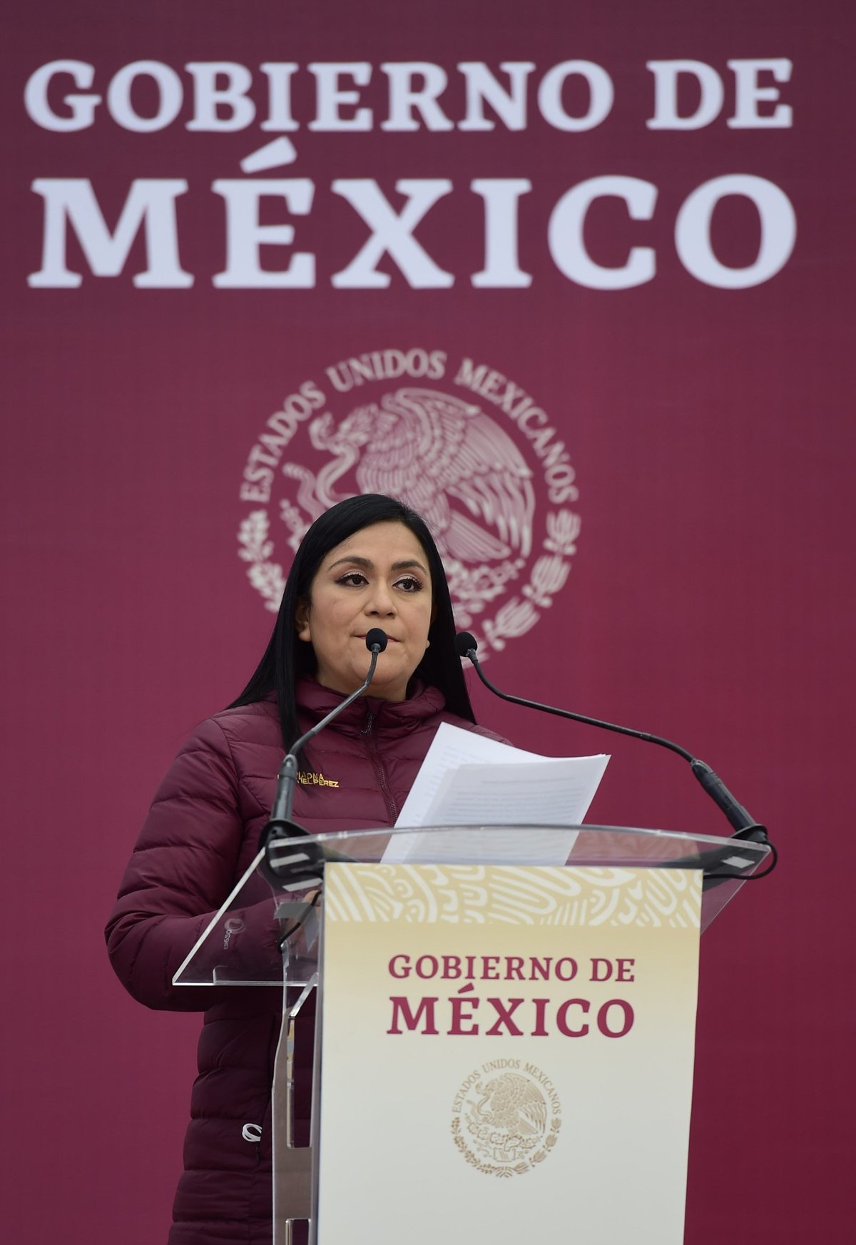 Ariadna Montiel Reyes, secretaria de Bienestar | Especial