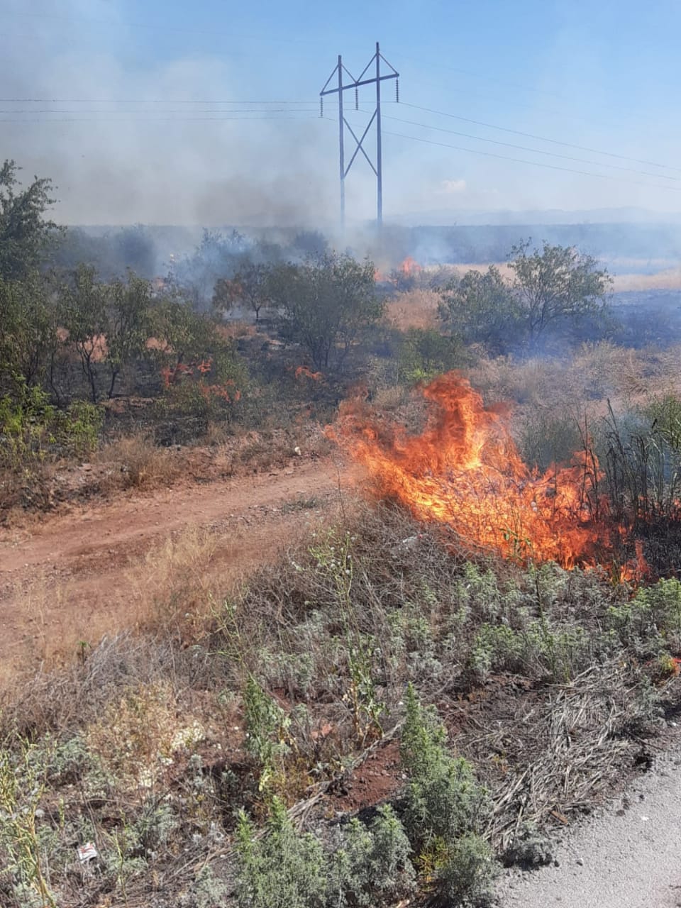 La Conafor indicó que cuatro incendios forestales se encuentran en áreas naturales protegidas (@CONAFOR)