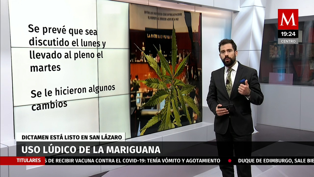 Acuerdan comisiones aprobar dictamen sobre uso lúdico de mariguana