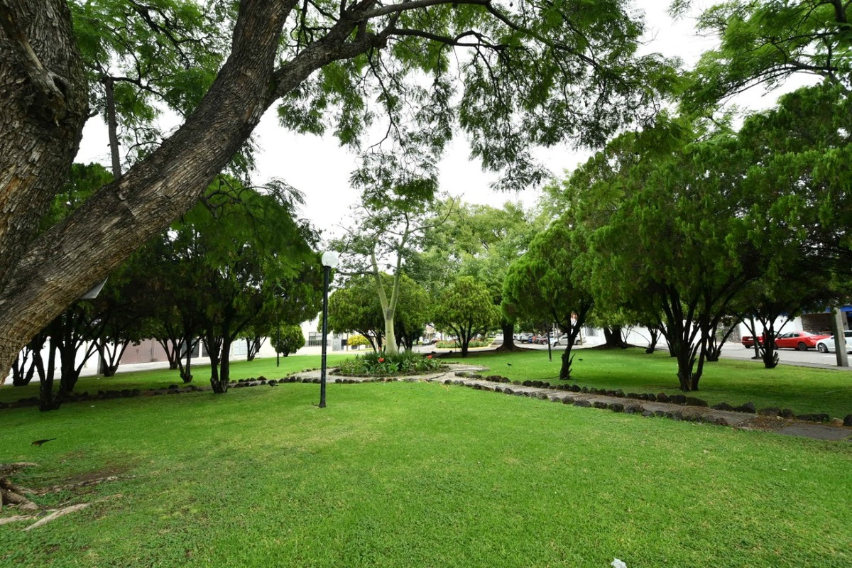 Arranca el programa "Reforestación 20212" en Irapuato