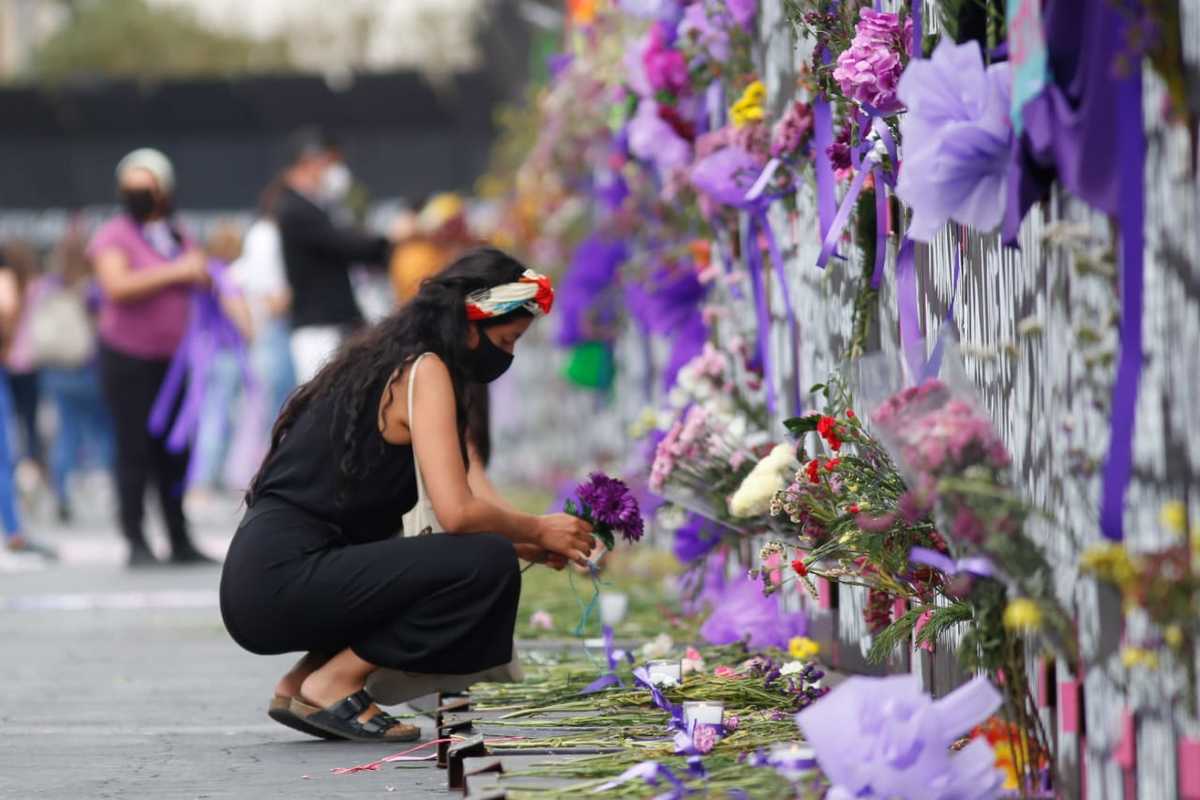 Han colocado diversas flores de color morado en la valla metálica | Araceli López