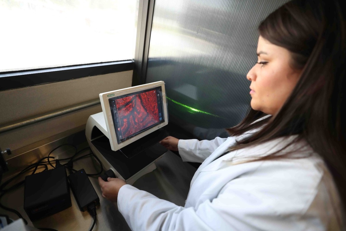 Encuentro virtual con Mujeres Científicas del IPN