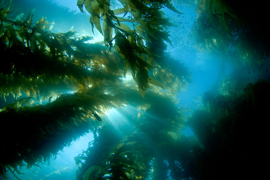 Foto: Getty Images