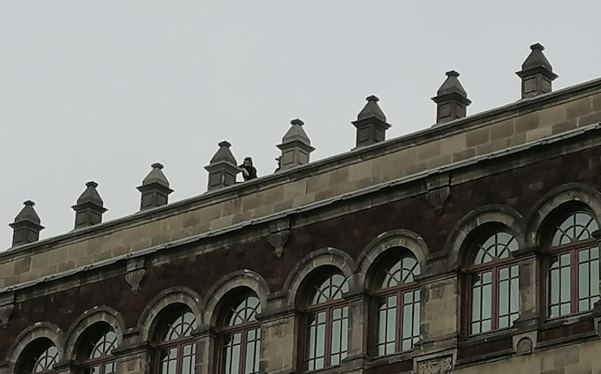 La Presidencia de la República explicó la presencia de personas en la azotea de Palacio Nacional. | Graciela Olvera