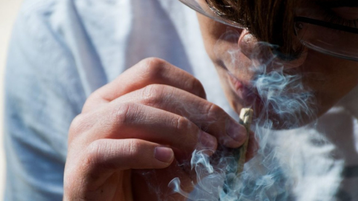 Comisiones de San Lázaro aprueban uso lúdico de la mariguana; pasa al pleno